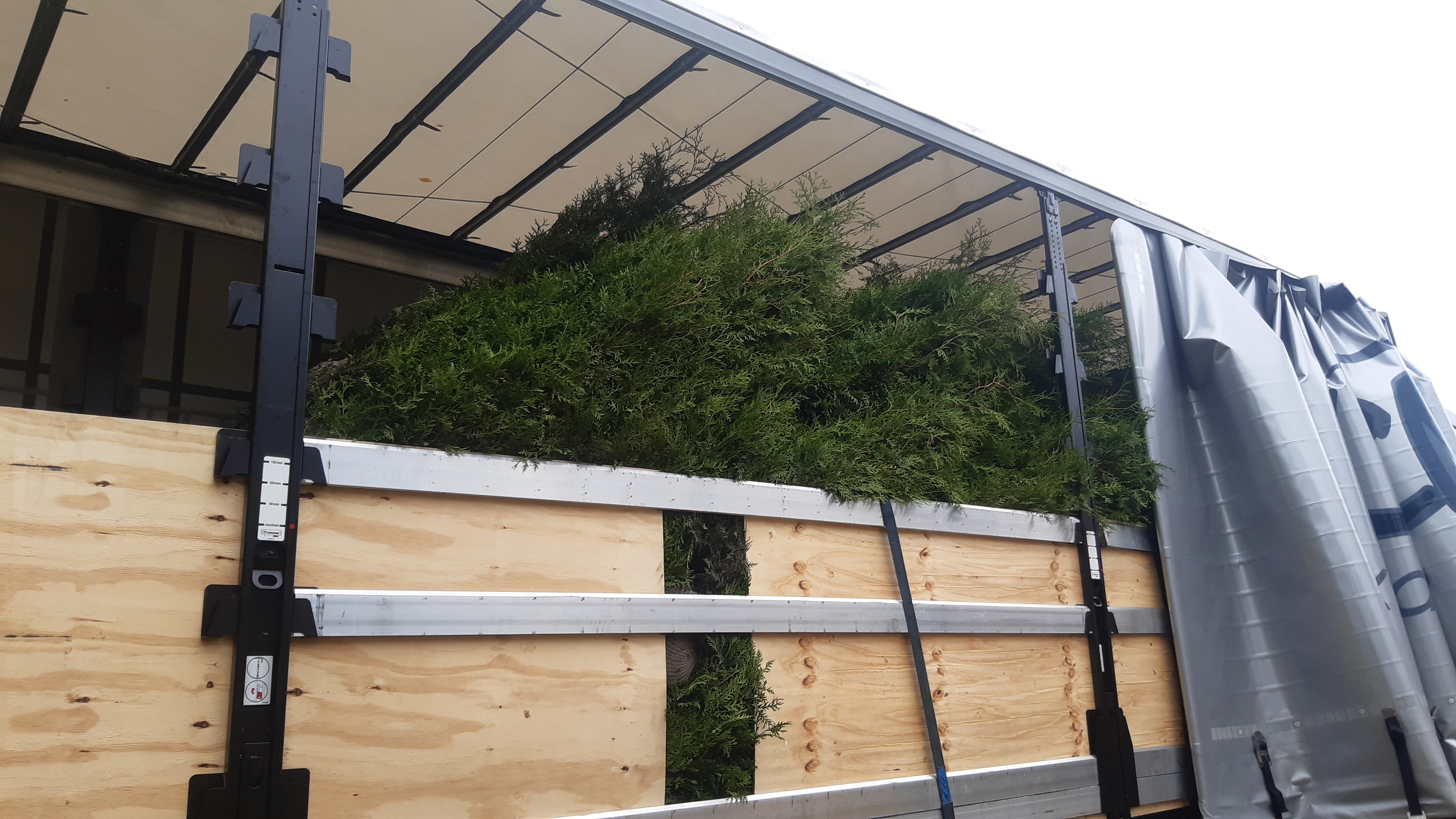 Professionell häckplantering